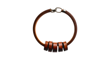 Leather collar with silver clasp and brown leather bands