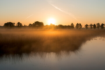 Fototapeta premium A sunrise over a lake in the Netherlands. The sky is orange and the sun is rising at the horizon.