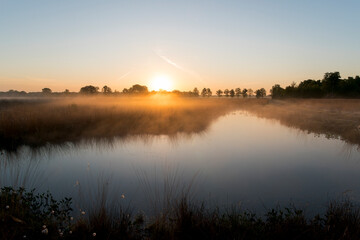 A sunrise over a lake in the Netherlands. The sky is orange and the sun is rising at the horizon.