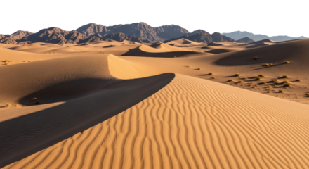 Desert landscape with sand dunes and mountains transparent background cutout png