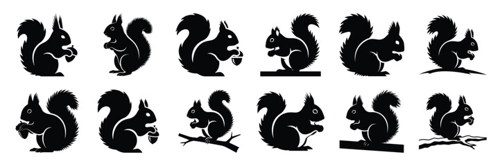 winter squirrel icon set. silhouette Vector illustration. © KartikChandro