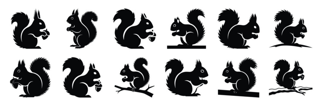 winter squirrel icon set. silhouette Vector illustration.