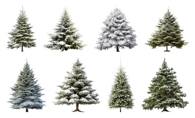 Obraz premium PNG Diverse snowy evergreen trees collection, element set on transparent background