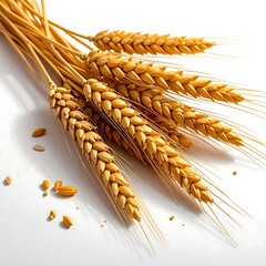 Golden Wheat Stalks - A Harvest of Grain and Agriculture.