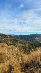 Obraz premium Tall grass sways gently in the breeze, overlooking a vast mountainous landscape under a bright blue sky, capturing nature's serene beauty