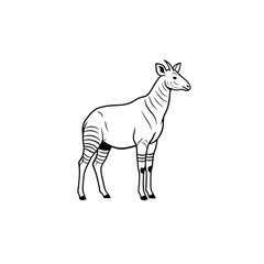 Fototapeta premium A minimalist black line drawing of an okapi isolated on transparent background