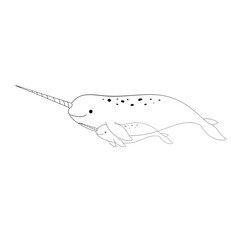 Fototapeta premium A minimalist black line drawing of a narwhal isolated on transparent background