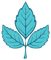 Obraz premium Turquoise Three Leaf Plant Botanical Illustration