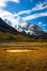 Beautiful Scenic of Luorong Grassland in Yading Natural Reserve