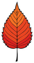 Vector illustration of a single, bright red autumn leaf with black veins and edges