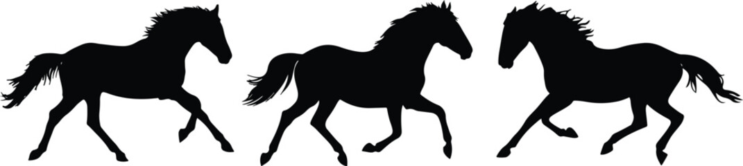 Fototapeta premium Set of Three Running Horse Silhouettes - Dynamic Vector Collection