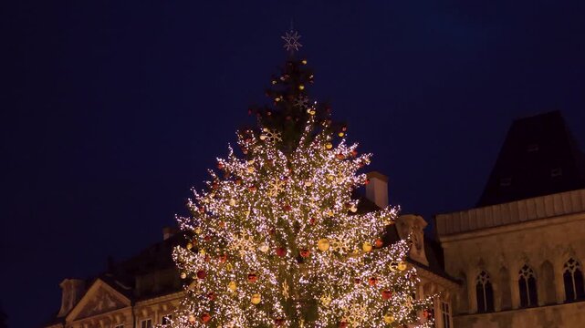 noite, natal, estrela, luzes nnatal, pai natal, arvore natal, pinhas, magia natal, noite natal