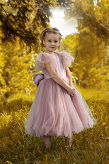 Whimsical Portrait of a Young Girl in a Pink Tulle Gown