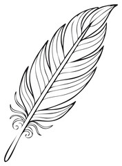 Obraz premium Elegant quill pen drawing with swirling flourishes and delicate lines