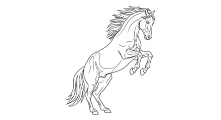 Fototapeta premium Black and white line drawing of a horse rearing up animal equine