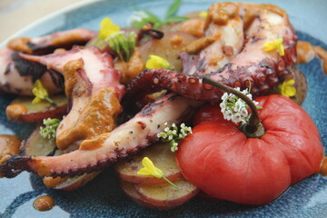 Grilled octopus with golden potatoes and creamy rocoto sauce—a bold and flavorful seafood dish showcasing the richness of Peruvian cuisine.