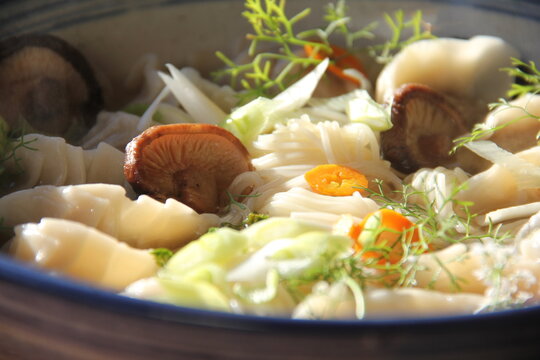 Dumpling soup with tender mushrooms and soft noodles in a savory broth&mdash;a warm, comforting bowl full of rich textures and umami flavor.