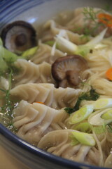 Dumpling soup with tender mushrooms and soft noodles in a savory broth—a warm, comforting bowl full of rich textures and umami flavor.