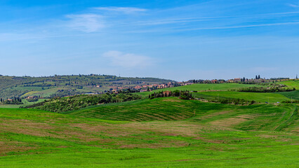 Rolling green hills under a clear blue sky in a rural landscape of Tuscany