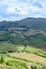 Fototapeta premium Rolling hills and lush vineyards of Tuscany under a bright cloudy sky