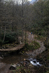 Old wooden footbridge over a forest stream