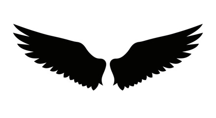 Black wings with transparent background