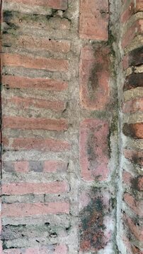 Old brick wall with moss. Texture concept, antique or colonial.