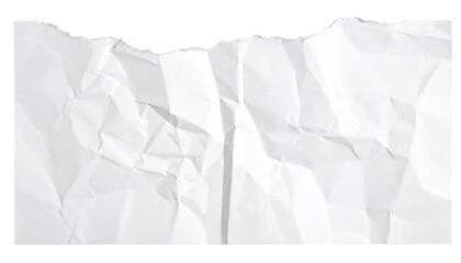 Obraz premium Torn Paper Texture: Close-up of a ripped and crumpled piece of paper, its texture and form revealing a story of use and discard.