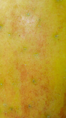 red and yellow apple skin with visible details