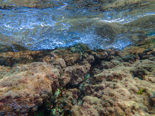 Ocean underwater rays of light background, under blue water sunlight. Underwater background, ocean or sea surface seen from under water. Rays of light beams, abstract marine backdrop. Nature landscape
