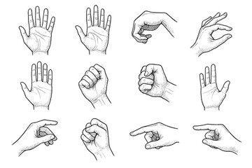 Fototapeta premium Point wrist open loose gesture vector curved hand front icon anatomy palm