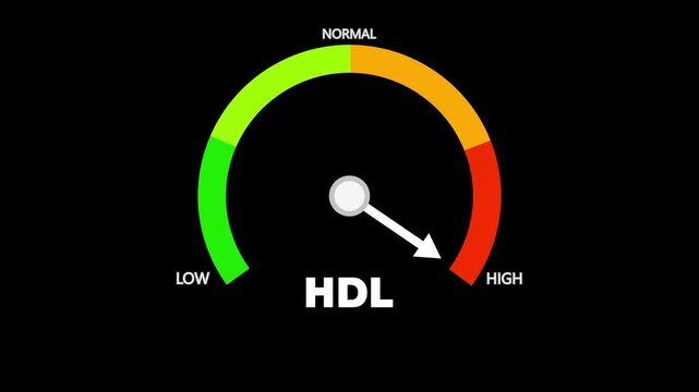 Animated HDL (good cholesterol) level meter moving from low level to normal level, ideal for concepts related to heart health, lipid balance, and medical monitoring