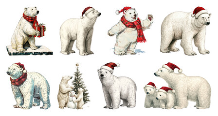 PNG Festive polar bears in winter attire, element set on transparent background
