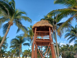Wooden Thatched Roof Tropical Tower