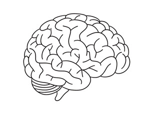 black and white line icon of a human brain