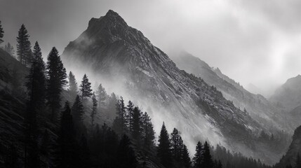 Misty Morning Mountain Landscape with Pine Forest Silhouettes