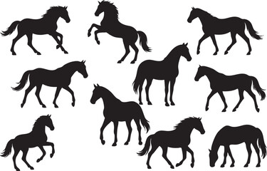 Vector collection of silhouettes of horses each isolated on white