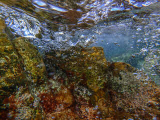 Ocean underwater rays of light background, under blue water sunlight. Underwater background, ocean or sea surface seen from under water. Rays of light beams, abstract marine backdrop. Nature landscape