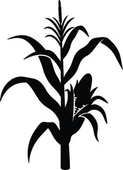 Illustration corn plant with cob agriculture harvest silhouette vector © AbuSadat