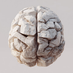 Brain made of stone