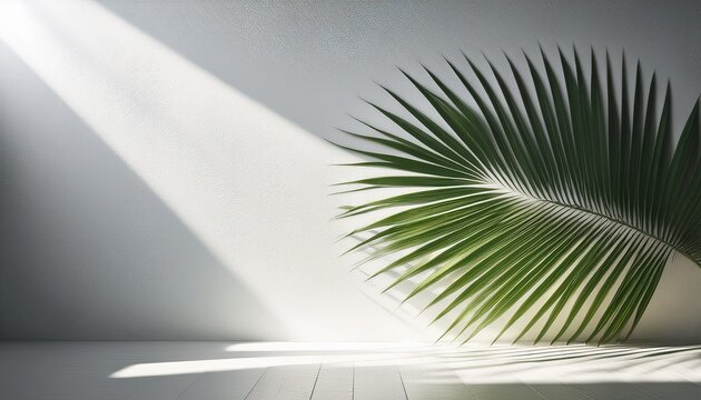 long green palm leaf casting shadows on textured white wall and floor with natural sunlight creating serene atmosphere