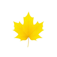 Fototapeta premium Yellow maple leaf isolated on transparent background, showing detailed veins and natural autumn color, perfect for seasonal, botanical, or nature themed designs