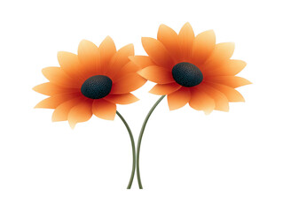 Two orange sunflowers with dark centers and green stems, isolated on transparent background, evoke cheerful and vibrant mood, perfect for floral design or decoration