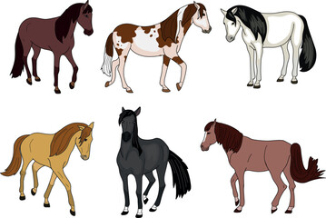 Set of horses of various colors isolated on white background