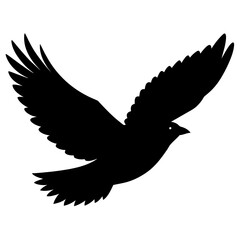 Vector illustration of a dove