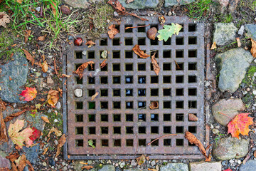 Metal storm drain grate embedded in soil of open ground