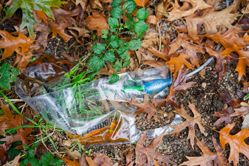 Abandoned IV bag and tubing lying in leaves by the curb
