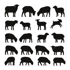 Sheep silhouette icon. set of sheep silhouette icon. sheep icon. Silhouette set of sheep in various poses on a white background