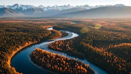 Aerial View of Winding River Through Forest with Distant Mountains.