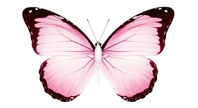 Elegant pink butterfly with detailed wings isolated on transparent background - Powered by Adobe